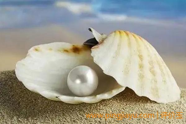 珍珠和北海珍珠之间的价格差异