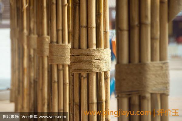 竹子在生活中的应用广泛