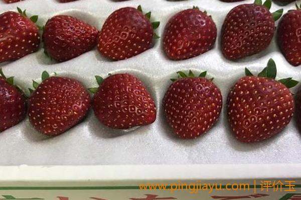 如何食用黑草莓水晶